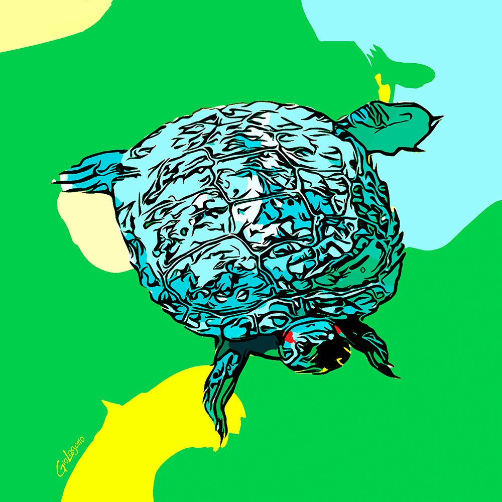 Blue Turtle · cm 60X60