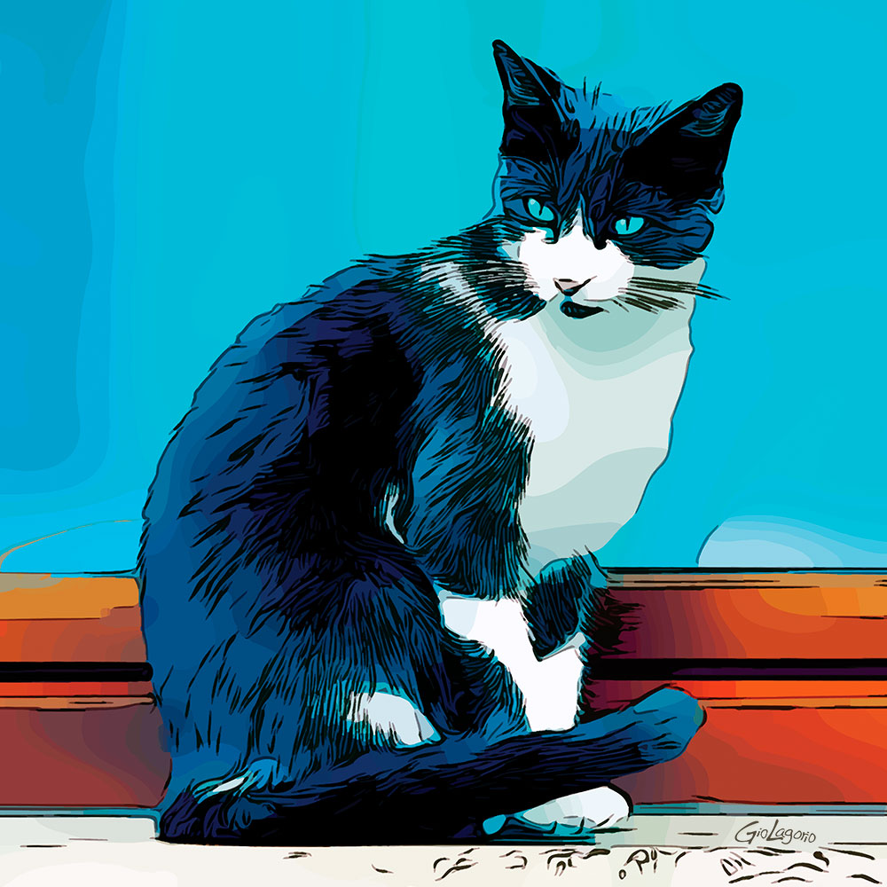 Gatto Blu · cm 60X60